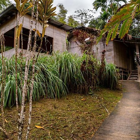 Rain Forest Inn Ringlet Eksteriør billede