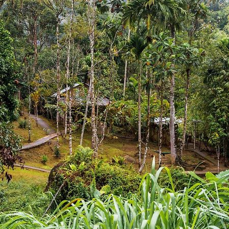 Rain Forest Inn Ringlet Eksteriør billede